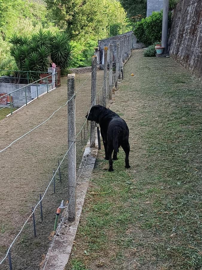 Da Ange E Bru Villa Sestri Levante Kültér fotó