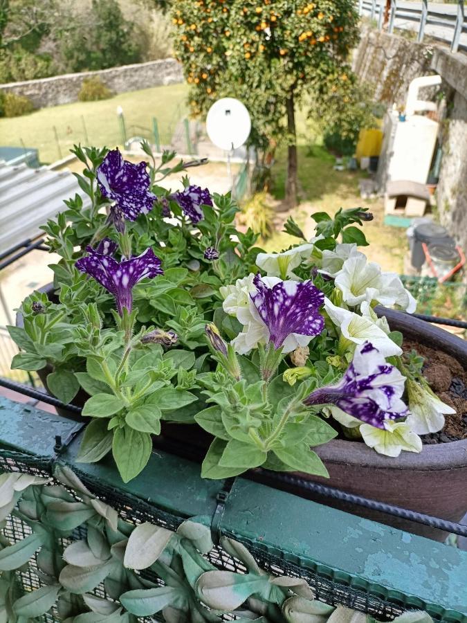 Da Ange E Bru Villa Sestri Levante Kültér fotó