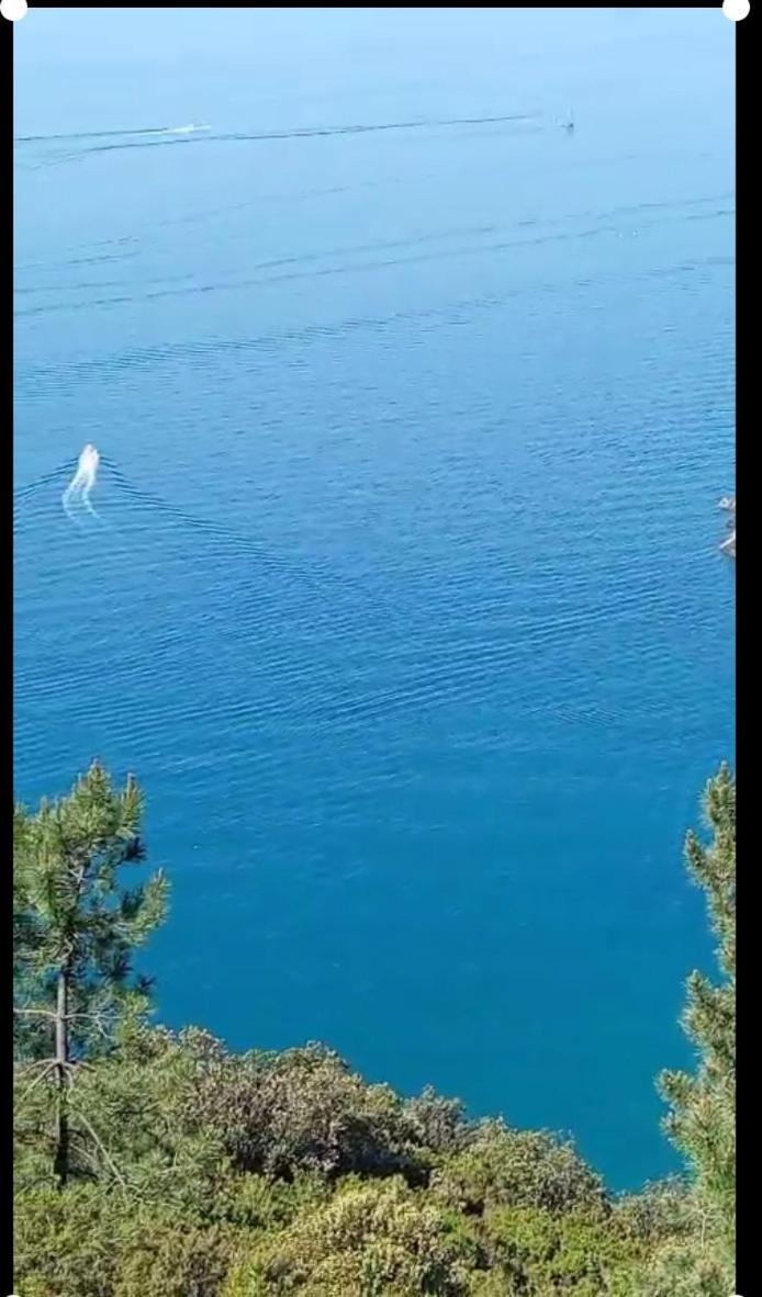Da Ange E Bru Villa Sestri Levante Kültér fotó